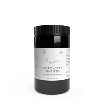 CORDYCEPS VITALPILZ Pulver für Tiere