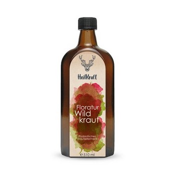 Heilkraft Floratur Wildkraut